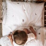 Taie d'oreiller en coton bio petit plume (40 x 60 cm)