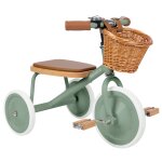 Tricycle vintage forest