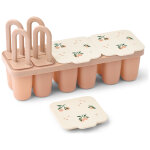 Moule � glaces kaimen peach