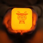 Veilleuse nomade cube b finley le faon