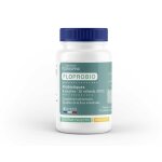 Floprobio (probiotiques) - 6 souches - 25 miliards d'ufc 120 g�lules