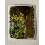 (1135) image panini 95 arthur et les minimoys