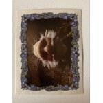 (1471) image panini 131 arthur et les minimoys