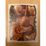 (1495) image panini n'55 arthur et les minimoys