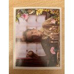 (1505) image panini n'20 arthur et les minimoys