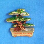 15298 / / 1 pin's : bonsa� p�pini�re de chine