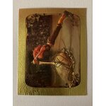 (1597) image panini 82 arthur et les minimoys