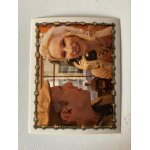(1599) image panini 8 arthur et les minimoys