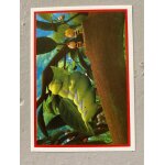 (1725) image panini n'111 maya l'abeille