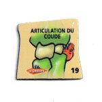 19 - magnet le gaulois - articulation du coude - il etait une fois la vie - le corps humain
