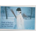 2 cartes de voeux , 2 enveloppes , 2 sujets