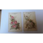 2 chromos bigot - billard tours grande maison de blanc