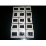 20 diapositives institut du manioc