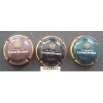 3 capsules de champagne canard - duchne . marron , noir , vert fonc , bordure or .
