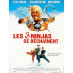 Les 3 ninjas se dechainent (3 ninjas: high noon at mega mountain) - v�ritable affiche de cin�ma - format ...