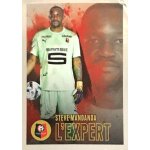 375 steve mandanda - l'expert - stade rennais fc - panini france foot 2022 - 2023 sticker vignette 375 steve mandanda - l'expert - stade rennais fc - panini france foot 2022 - 2023 sticker vignette