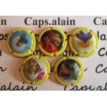 5 capsules de champagne fagot hubert n4 news