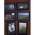 6 cartes nature et toile araignee paysage vignoble village alsace