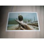 Affiche ou grande carte sentinel gordon miller 1987