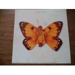 Affiche / photo anne geddes 25 x 25 cm