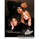 Affiche  shampoo  (1975) hal ashby