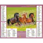 Almanach la poste calendrier facteur ptt 2026 chevaux