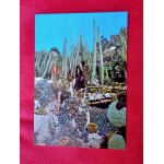 Ancienne carte postale monaco. les jardins de monaco. le jardin exotique. plantes succulentes les plus ...
