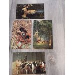 Animaux de nos forets