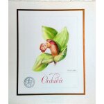 Aquarelle et calligraphie au pinceau arnold toubeix