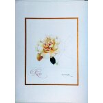 Aquarelle et calligraphie au pinceau arnold toubeix . rose