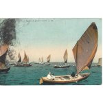 Arcachon - r�gate de pinasses a voile