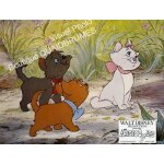 Les aristochats (the aristocats, walt disney): jeu b de 9 photos d'exploitation cinmatographique - format ...