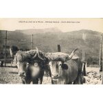 Ascain. (py�es - atl) - au pied de la rhune - attelage basque - haran - ederreko idiak . carte ancienne ...