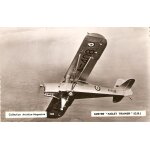 Auster  aiglet trainer (g - b)