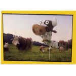 Autocollant n166 - collection  the lapins crtins  (panini)