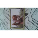 Autocollant narnia prince caspian n133