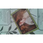 Autocollant narnia prince caspian n43