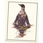 Autocollant panini - wwf - animaux a sauver - n 326 oiseau mazout�