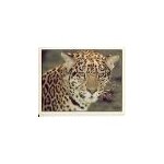 Autocollant panini - wwf - animaux a sauver - n 61 gu�pard
