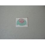 Autocollant parc coccinelle salouel