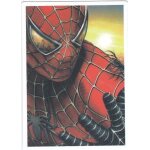 Autocollant - spiderman (marvel comics, image, film)