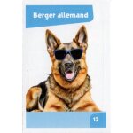 Autocollant sticker image spa, nos amies les b�tes : 12 - chien berger allemand / cora match 2024