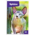Autocollant sticker image spa, nos amies les b�tes : 54 - chat sphinx / cora match 2024