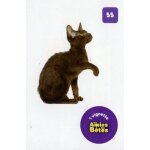 Autocollant sticker image spa, nos amies les b�tes : 55 - chat havana brown / cora match 2024