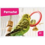 Autocollant sticker image spa, nos amies les b�tes : 77 - oiseau perruche / cora match 2024