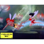 Les aventures de zak et crysta dans la forêt tropicale de ferngully - jeu de photos d'exploitation cinématogra ... Les aventures de zak et crysta dans la forêt tropicale de ferngully - jeu de photos d'exploitation cinématogra ...