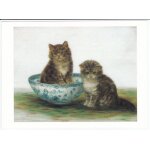 B. b. - kitten in a blue china bowl, 19e si�cle - carte postale