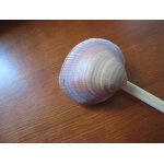 Baguette pic en bois pour chignon cheveux createur