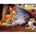 Bambi (walt disney) : jeu b de 6 photos d'exploitation cin�matographique - format 21x27 cm - de james ...