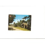 Barcelona parc de la citadelle 1965